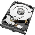 ST2000VX17 (Seagate, USA)