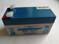 PS-1212 VdS (PowerSonic, U.K.)