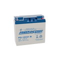 PG-12V21 B (PowerSonic, U.K.)