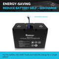 Renogy Smart LiFePO 12,8V/100Ah (RNG Intl., USA)