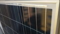 BlueSolar 175Wp Poly/4a (Victron, NL)