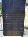 DMEGC 365Wp/Bi/mono (DMEGC Solar, China/EU)