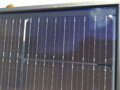 DMEGC 365Wp/Bi/mono (DMEGC Solar, China/EU)