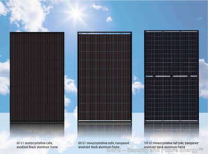 DMEGC 365Wp/Bi/mono (DMEGC Solar, China/EU)